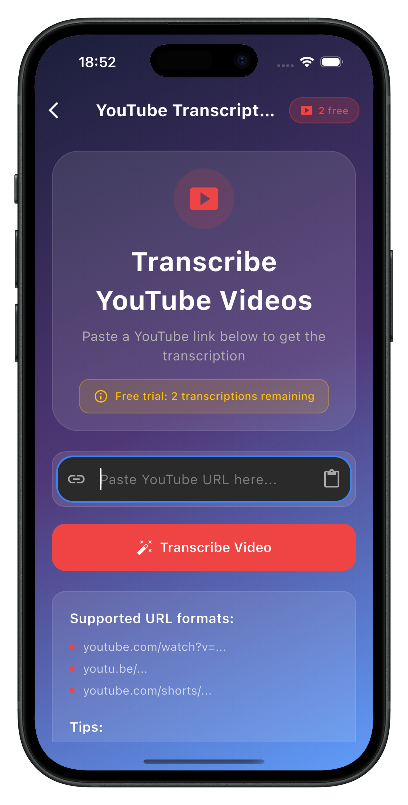VoiceScribe YouTube transcription feature showing URL input and transcribe button